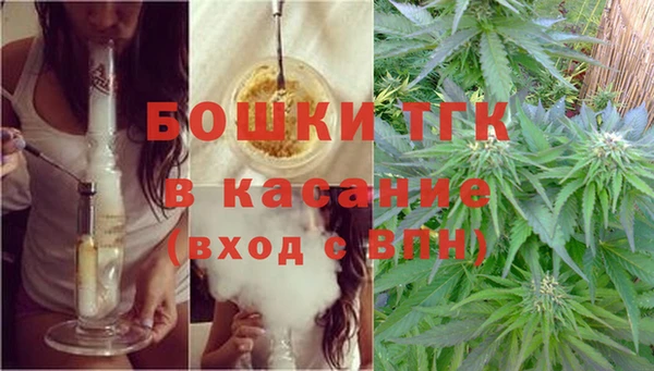 молекула духа Аркадак