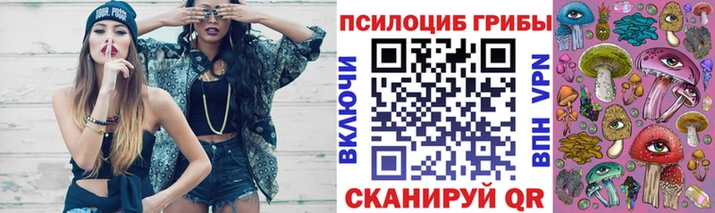 закладка  Отрадная  Псилоцибиновые грибы прущие грибы 